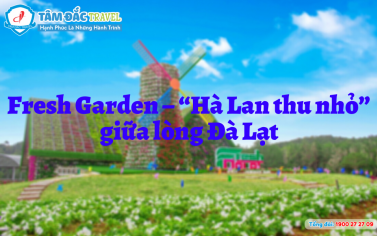 Fresh Garden – “Hà Lan thu nhỏ” giữa lòng Đà Lạt